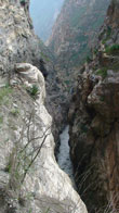 Canyon del Pato